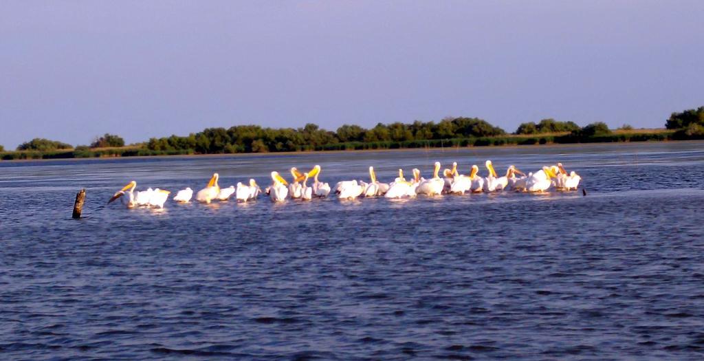 Delta Pontoon Hotel Mahmudia Luaran gambar